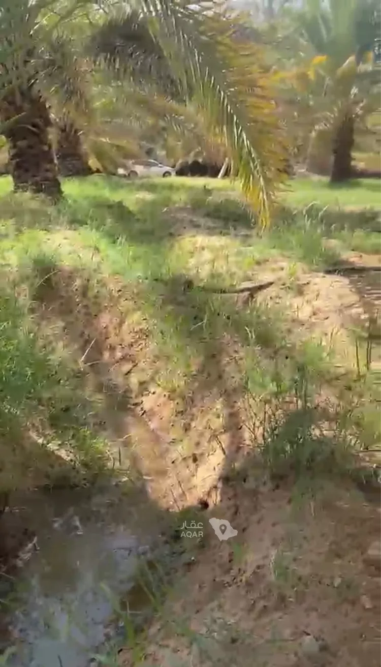 مزرعة للبيع في شارع ارض الجربوع, حي مليح, مدينة الغاط - مليح, منطقة الرياض صورة 3