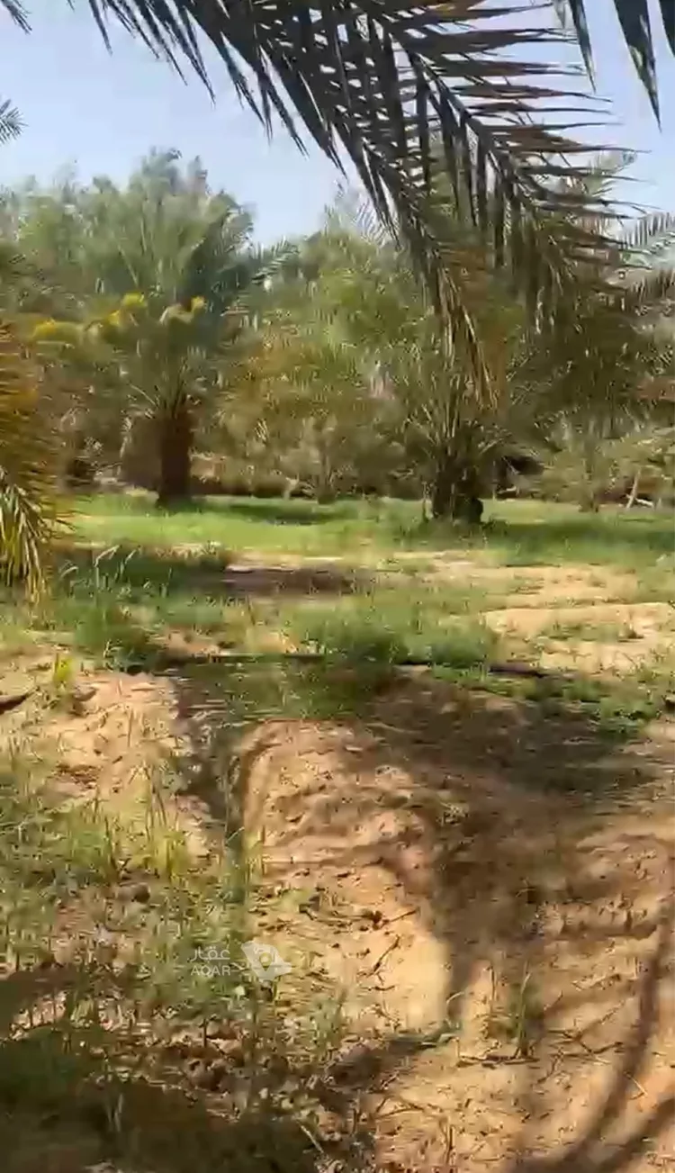 مزرعة للبيع في شارع ارض الجربوع, حي مليح, مدينة الغاط - مليح, منطقة الرياض صورة 2