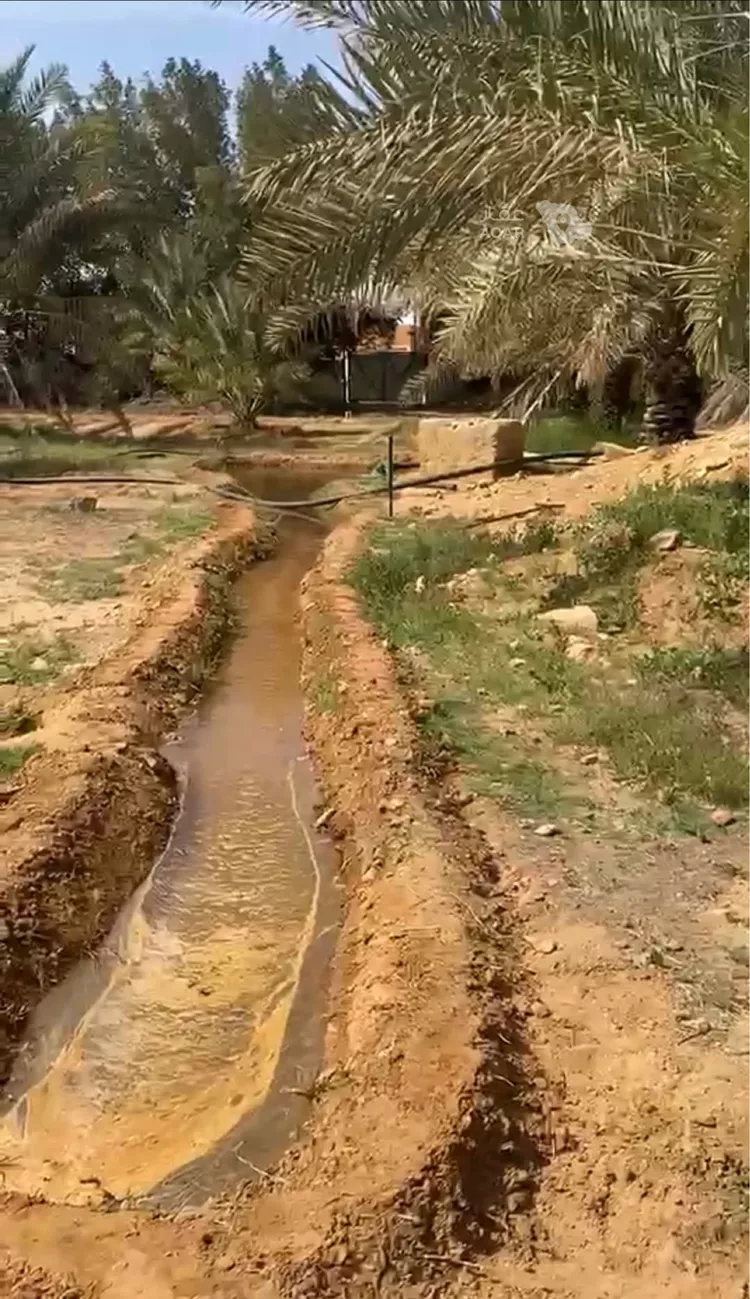مزرعة للبيع في شارع ارض الجربوع, حي مليح, مدينة الغاط - مليح, منطقة الرياض صورة 5