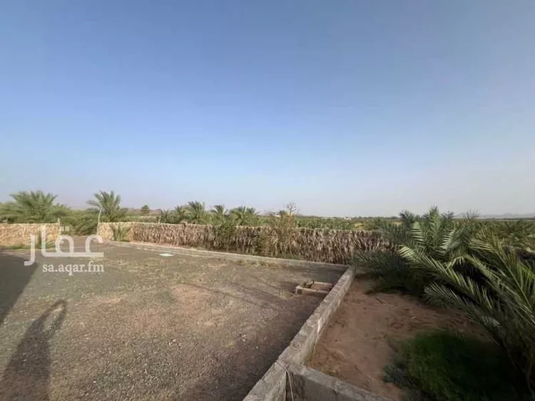 Farm for Sale in Medina Al Balqaa ุตูุฑุฉ 5