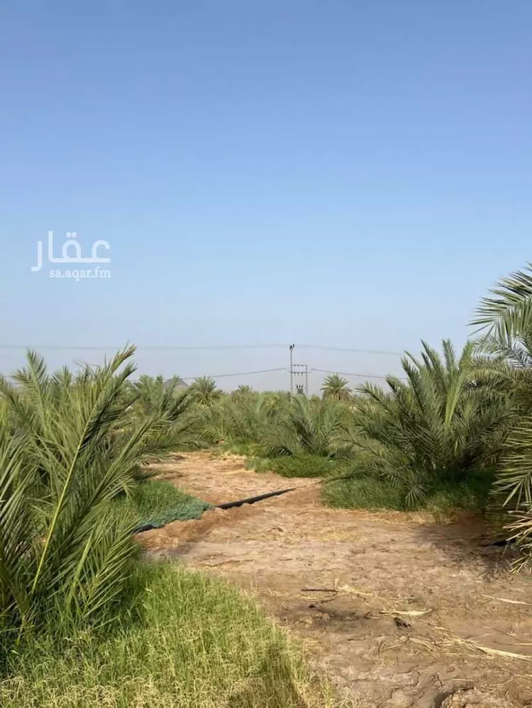 Farm for Sale in Medina Al Balqaa ุตูุฑุฉ 2