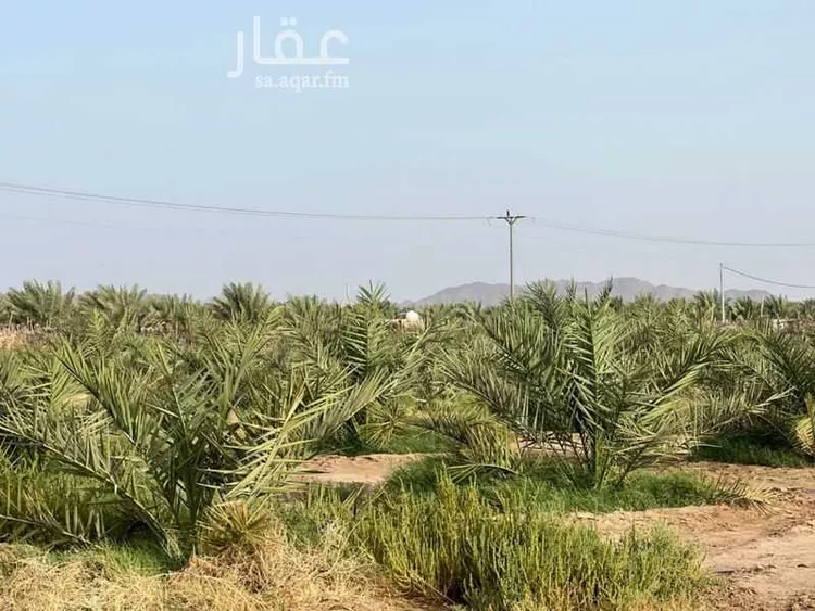 Farm for Sale in Medina Al Balqaa ุตูุฑุฉ 3