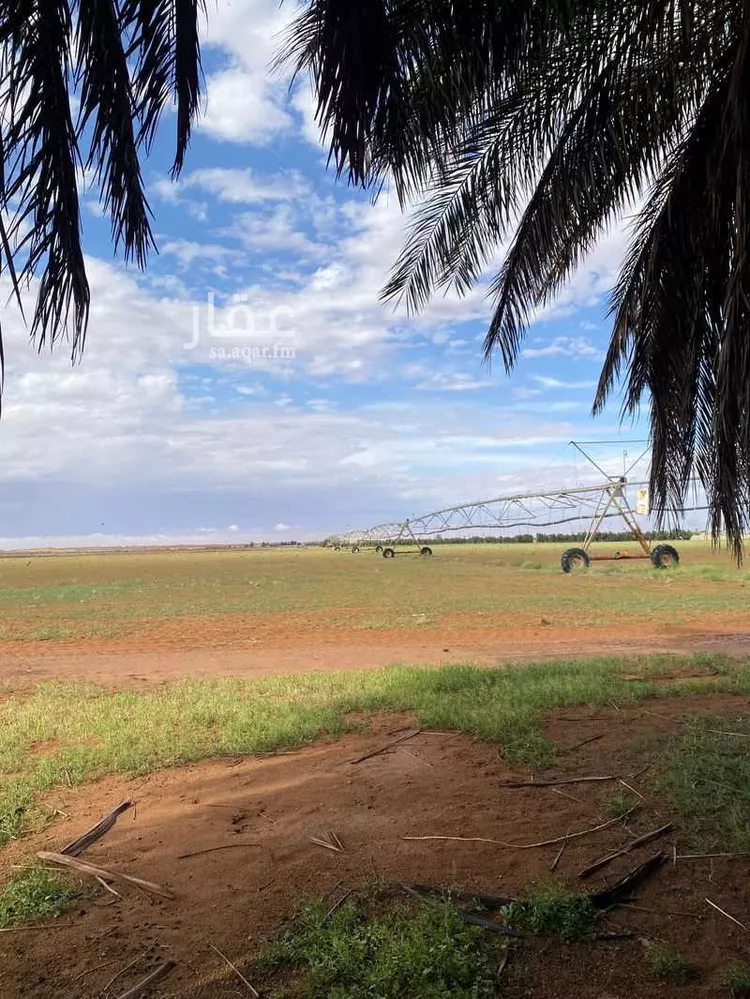 Farm for Sale in Hail An Nasim