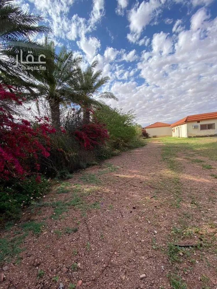 Farm for Sale in Hail An Nasim صورة 5