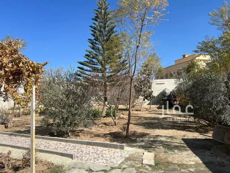 عمارة للإيجار في شارع النعائم, حي الرائد, مدينة بلجرشي, منطقة الباحة صورة 2