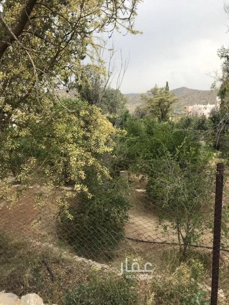 أرض للبيع في طريق الشفاء ، حي الشفا ، الطائف ، الطائف صورة 2