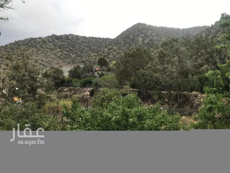 أرض للبيع في طريق الشفاء ، حي الشفا ، الطائف ، الطائف صورة 3