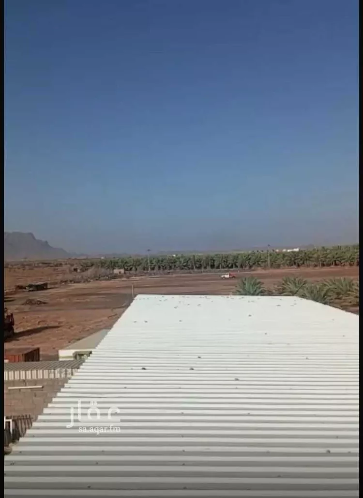 Farm for rent in Medina Al Matar صورة 2