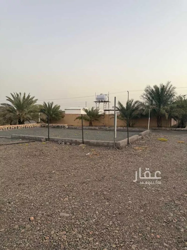 مزرعة للإيجار في حي أبو سدر, مدينة المدينة المنورة, منطقة المدينة المنورة 8
