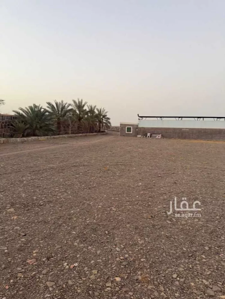 Farm for rent in Medina Al Matar صورة 3