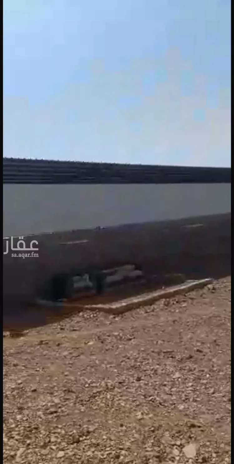 مزرعة للإيجار في حي أبو سدر, مدينة المدينة المنورة, منطقة المدينة المنورة 6