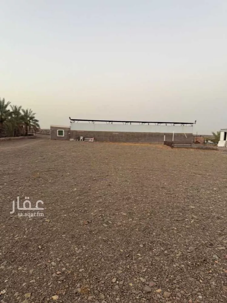 مزرعة للإيجار في حي أبو سدر, مدينة المدينة المنورة, منطقة المدينة المنورة 7