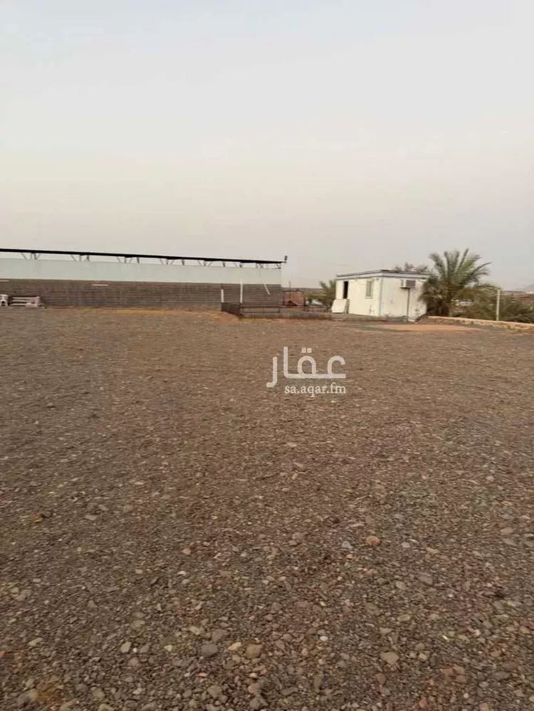 Farm for rent in Medina Al Matar