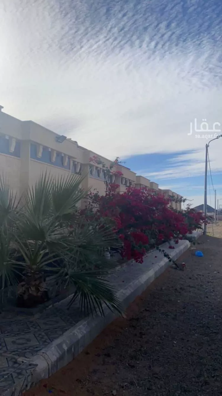 شاليه واستراحة للحجز في شارع ابار الماشي, المدينة المنورة صورة 3
