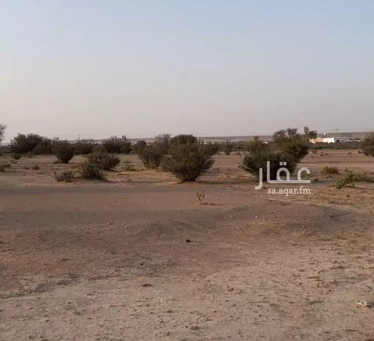 مزرعة للبيع في حي الساحبه ومزارعها, مدينة الساحبه ومزارعها, منطقة الرياض صورة 4