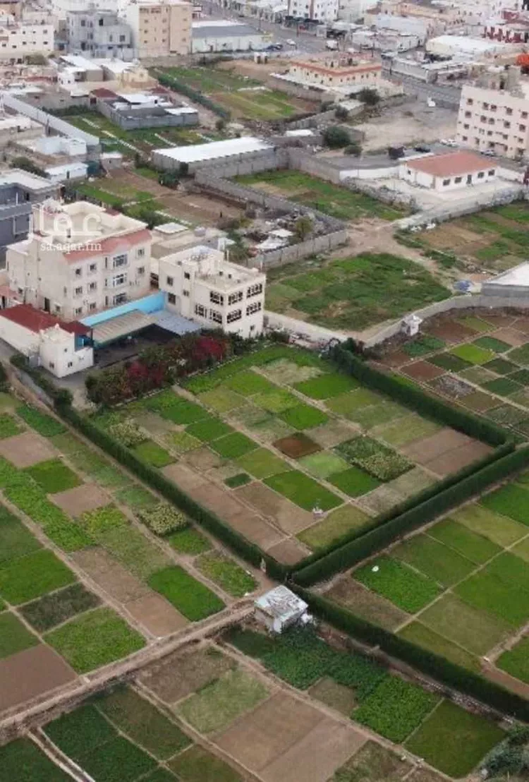 فيلا للإيجار في شارع شباعة 70, حي شباعة, مدينة خميس مشيط, منطقة عسير