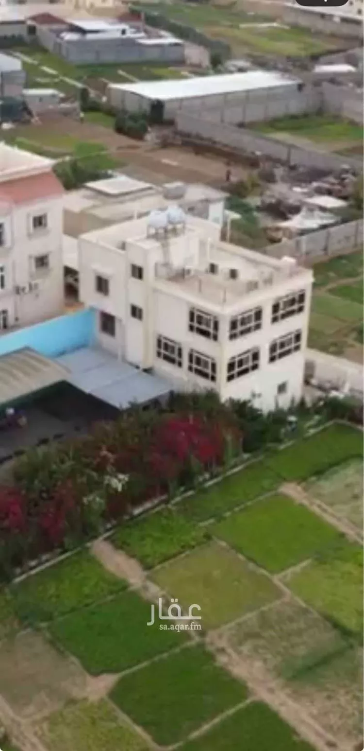 فيلا للإيجار في شارع شباعة 70, حي شباعة, مدينة خميس مشيط, منطقة عسير صورة 3