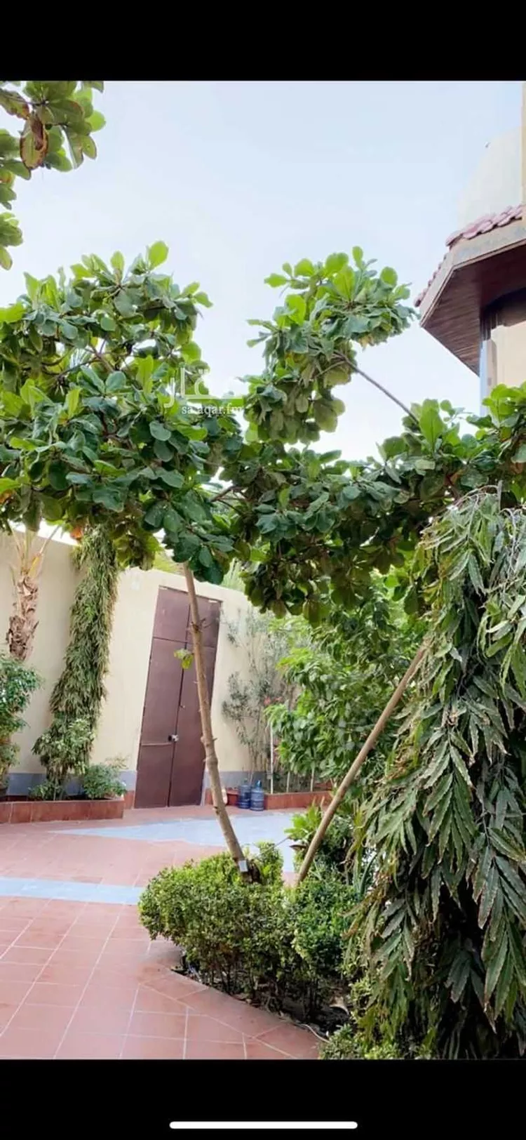 فيلا للإيجار في شارع عبدالرحمن بن أسعد, حي البوادي, مدينة جدة, منطقة مكة المكرمة صورة 4