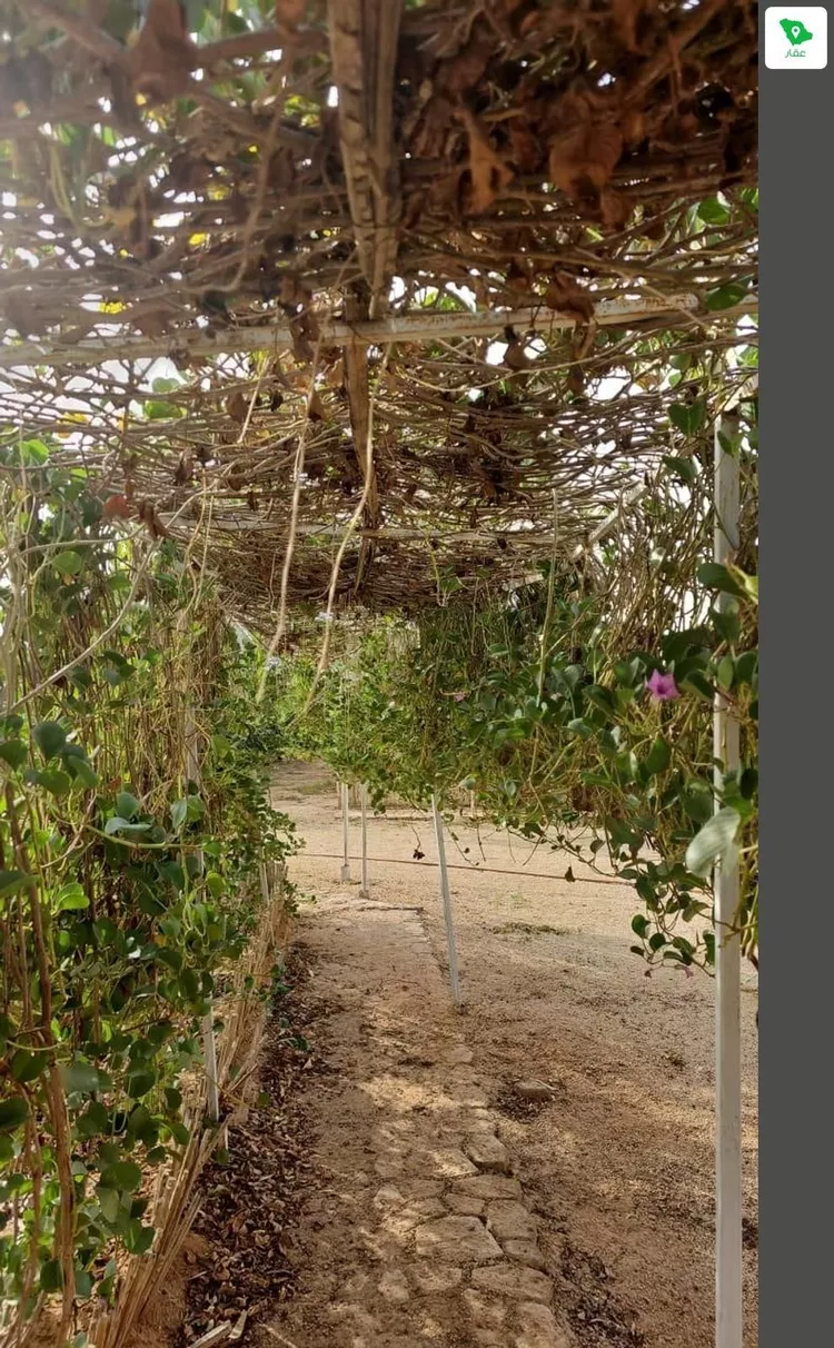 مزرعة للبيع في حي مزارع قصور النقعه, مدينة مزارع قصور النقعه, منطقة الرياض صورة 3