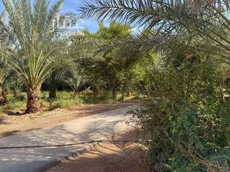مزرعة للبيع في شارع سالم بن عبيد, حي تبراك, مدينة الجلة, منطقة الرياض 11