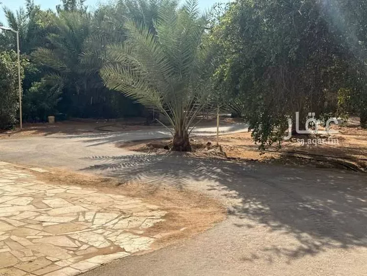 مزرعة للبيع في شارع سالم بن عبيد, حي تبراك, مدينة الجلة, منطقة الرياض 27