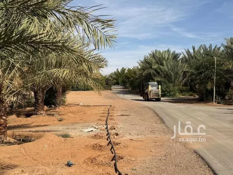 مزرعة للبيع في شارع سالم بن عبيد, حي تبراك, مدينة الجلة, منطقة الرياض 30