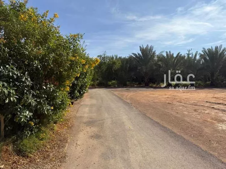 مزرعة للبيع في شارع سالم بن عبيد, حي تبراك, مدينة الجلة, منطقة الرياض 21