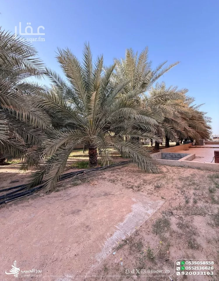 استراحة للبيع في شارع طريق الامير محمد بن بندر, حي الصفاء, مدينة البكيرية, منطقة القصيم 12