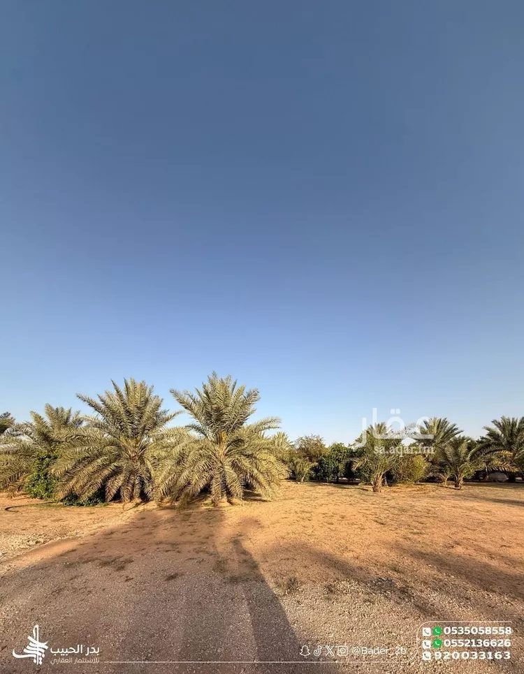 استراحة للبيع في شارع طريق الامير محمد بن بندر, حي الصفاء, مدينة البكيرية, منطقة القصيم 18