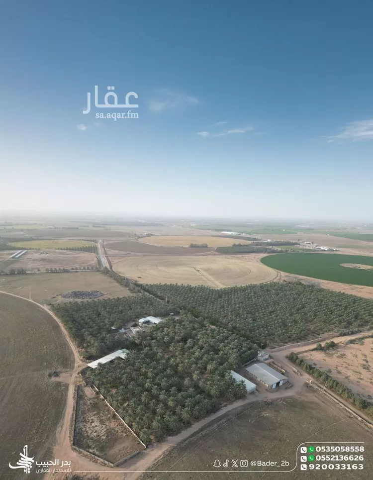 مزرعة للبيع في شارع عام, حي الشيحيه, مدينة الشيحيه, منطقة القصيم صورة 5