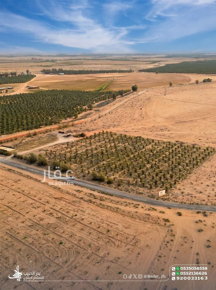 أرض للبيع في شارع عام , حي المنتزة, مدينة البكيرية, منطقة القصيم صورة 4