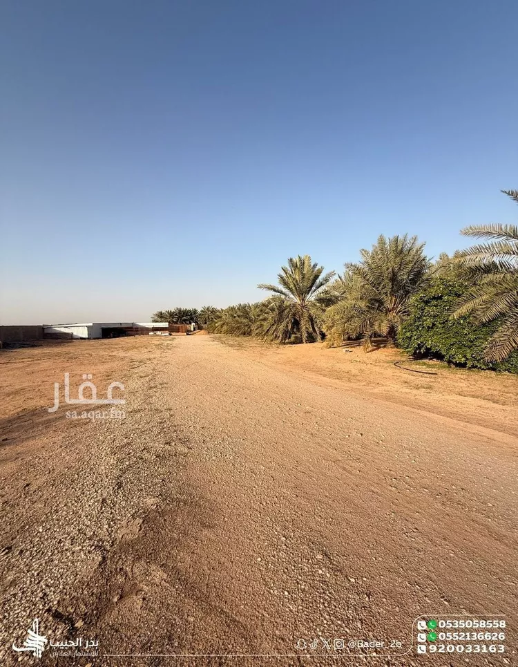 استراحة للبيع في شارع طريق الامير محمد بن بندر, حي الصفاء, مدينة البكيرية, منطقة القصيم 19