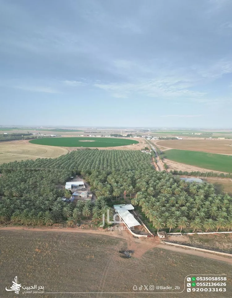 مزرعة للبيع في شارع عام, حي الشيحيه, مدينة الشيحيه, منطقة القصيم صورة 4