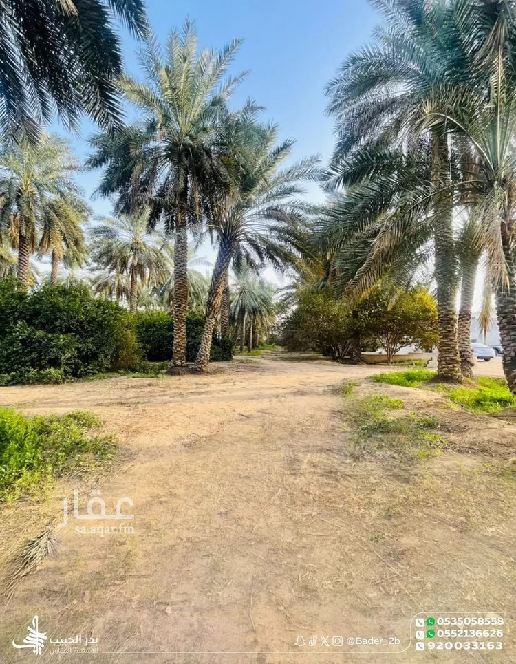 مزرعة للبيع في شارع عام, حي الشيحيه, مدينة الشيحيه, منطقة القصيم 7