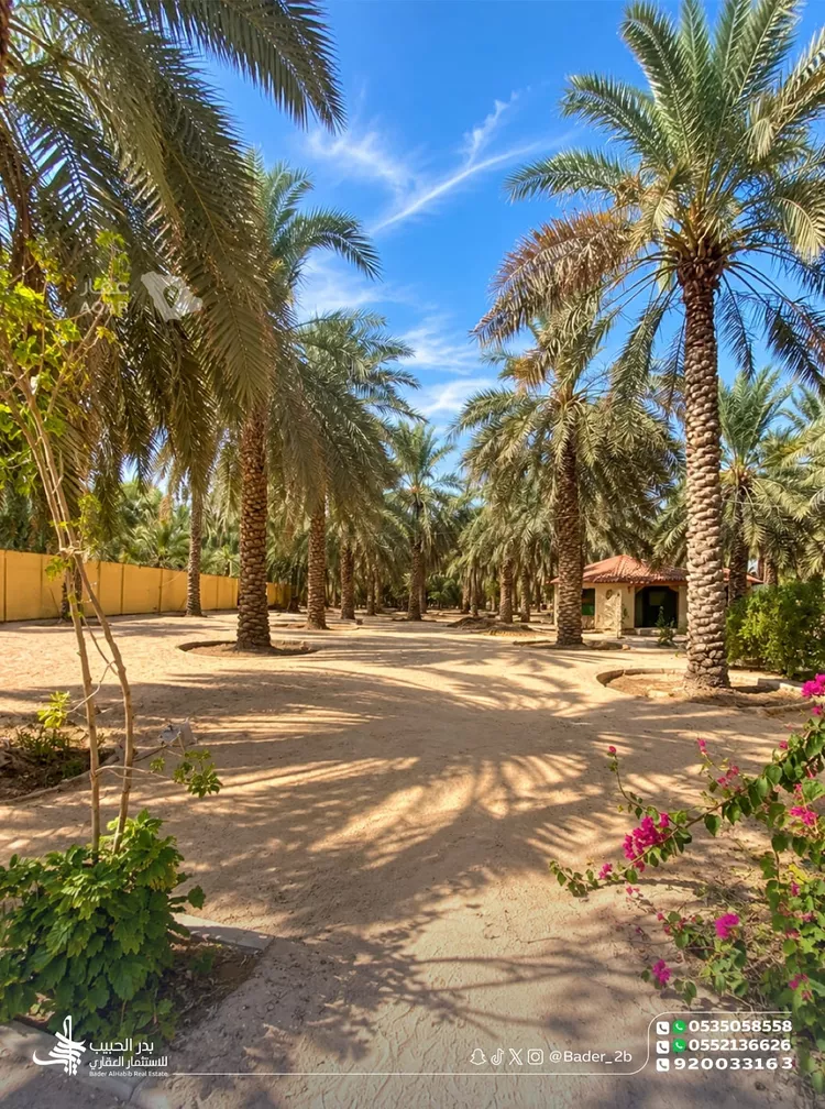 Rest House for Sale in Al Bukayriyah Al Fahd 10