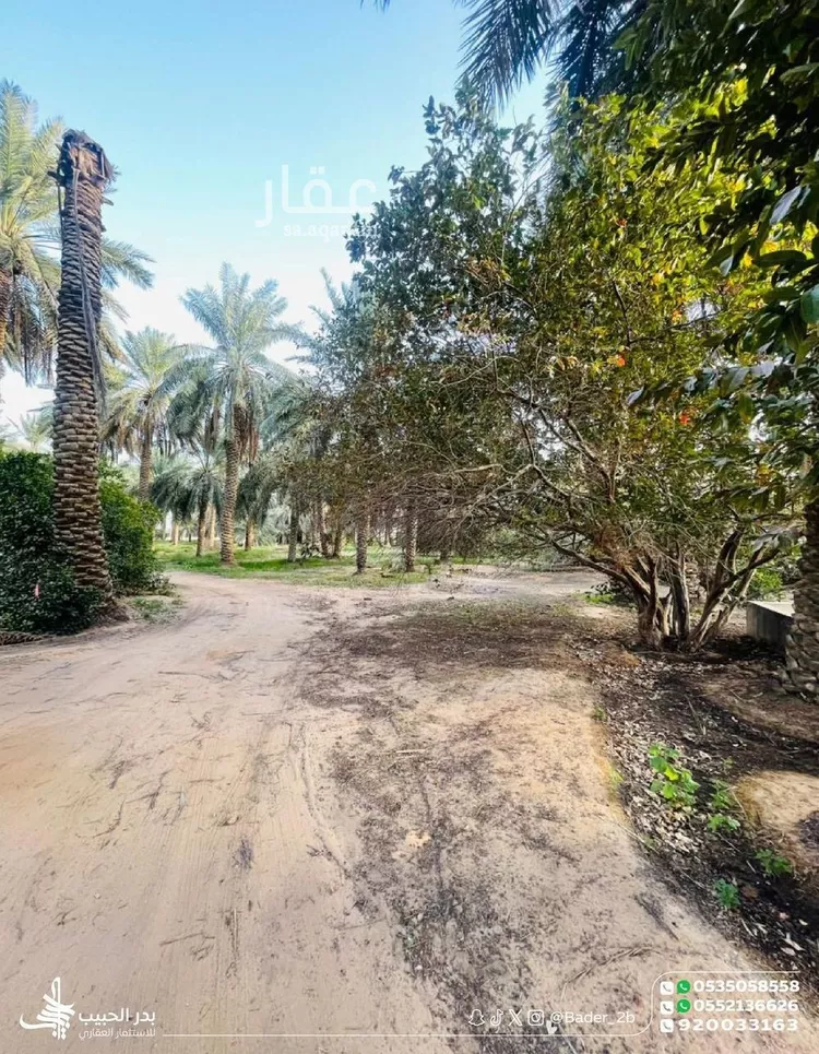 مزرعة للبيع في شارع عام, حي الشيحيه, مدينة الشيحيه, منطقة القصيم 9