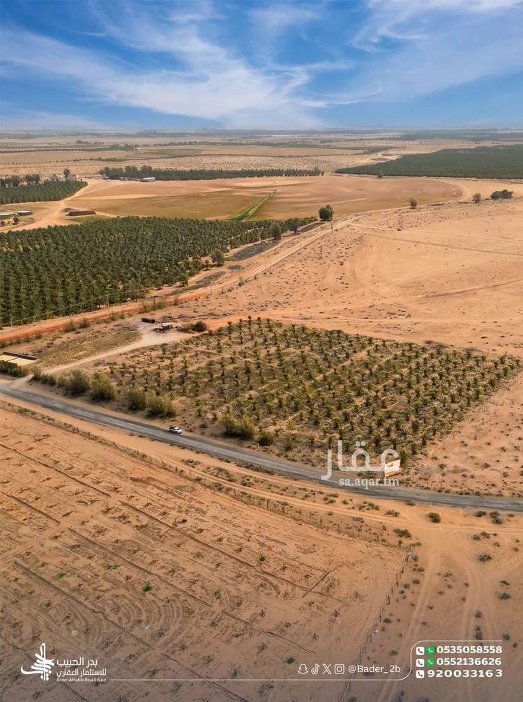 أرض للبيع في شارع عام , حي المنتزة, مدينة البكيرية, منطقة القصيم صورة 4