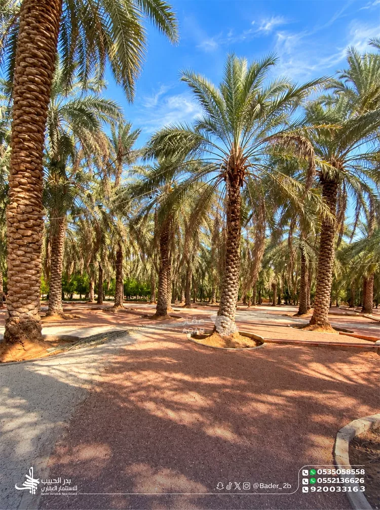 Rest House for Sale in Al Bukayriyah Al Fahd 14