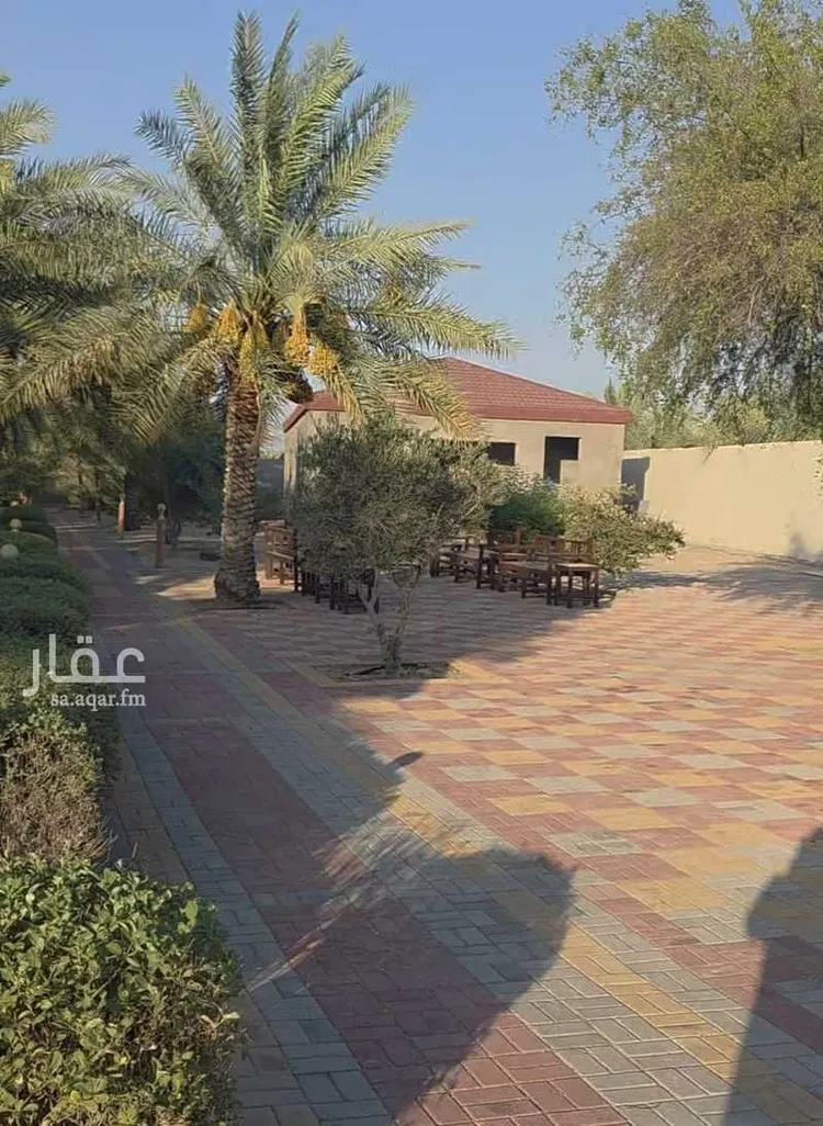 مزرعة للإيجار في حي مزرعه الصبيغاوى ومجموعه مزارع, مدينة مزرعه الصبيغاوى ومجموعه مزارع, المنطقة الشرقية صورة 3