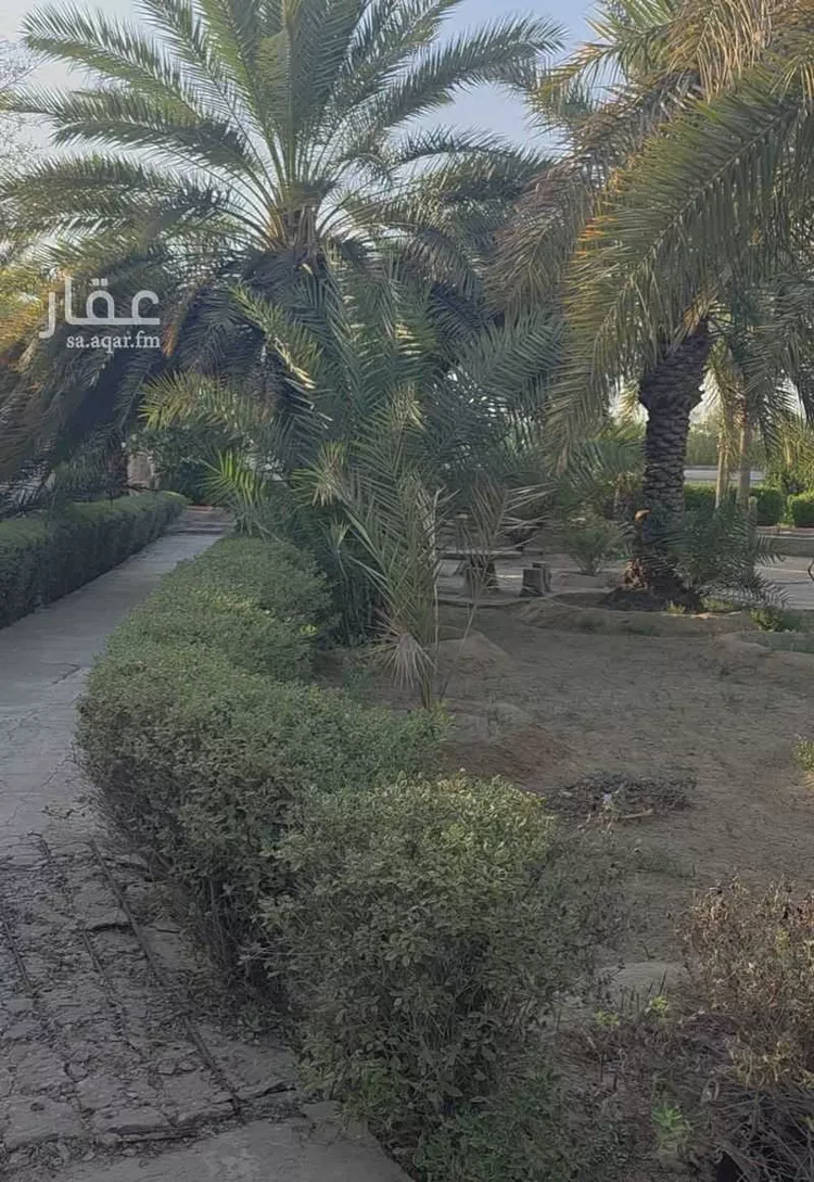 مزرعة للإيجار في حي مزرعه الصبيغاوى ومجموعه مزارع, مدينة مزرعه الصبيغاوى ومجموعه مزارع, المنطقة الشرقية