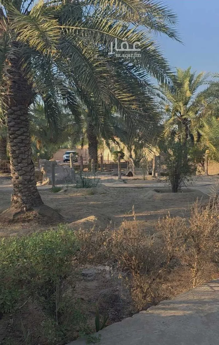 مزرعة للإيجار في حي مزرعه الصبيغاوى ومجموعه مزارع, مدينة مزرعه الصبيغاوى ومجموعه مزارع, المنطقة الشرقية صورة 2