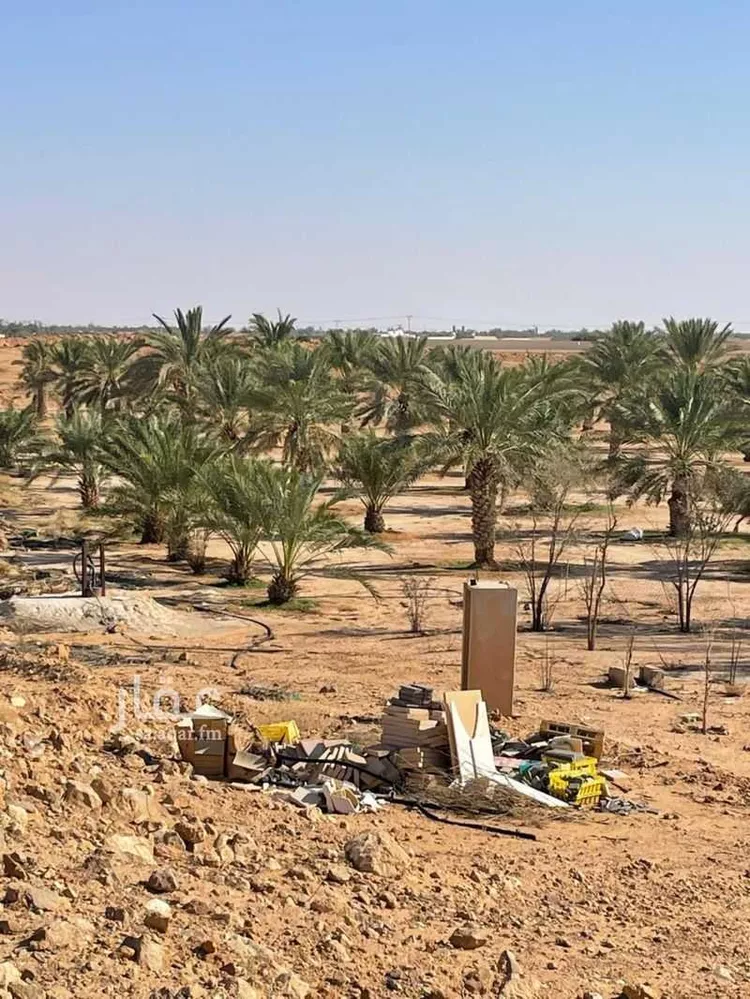 مزرعة للبيع في حي مزارع الثغيب وروضة جوي, مدينة المجمعه, منطقة الرياض صورة 2