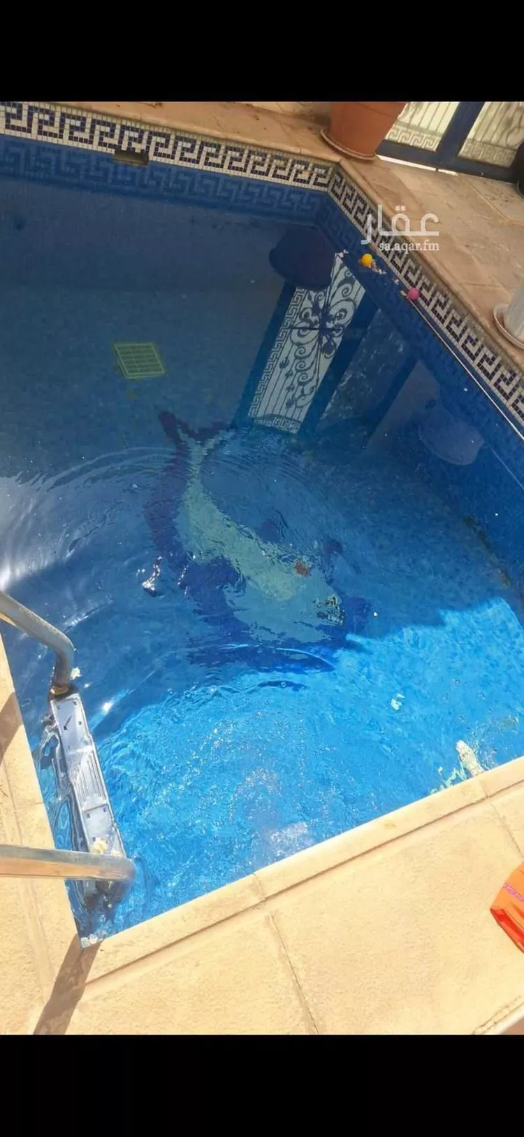 دور للإيجار في حي الياسمين ، الرياض ، منطقة الرياض صورة 2
