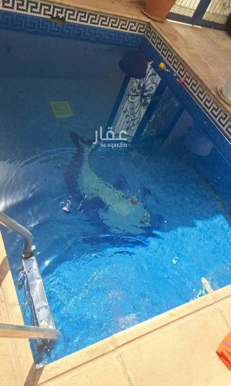 دور للإيجار في شارع البستان, حي الياسمين, مدينة الرياض, منطقة الرياض صورة 3