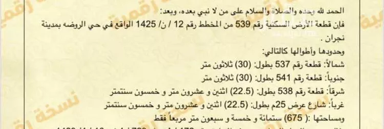 أرض للبيع في شارع 1619435, حي الروضة, مدينة نجران, منطقة نجران