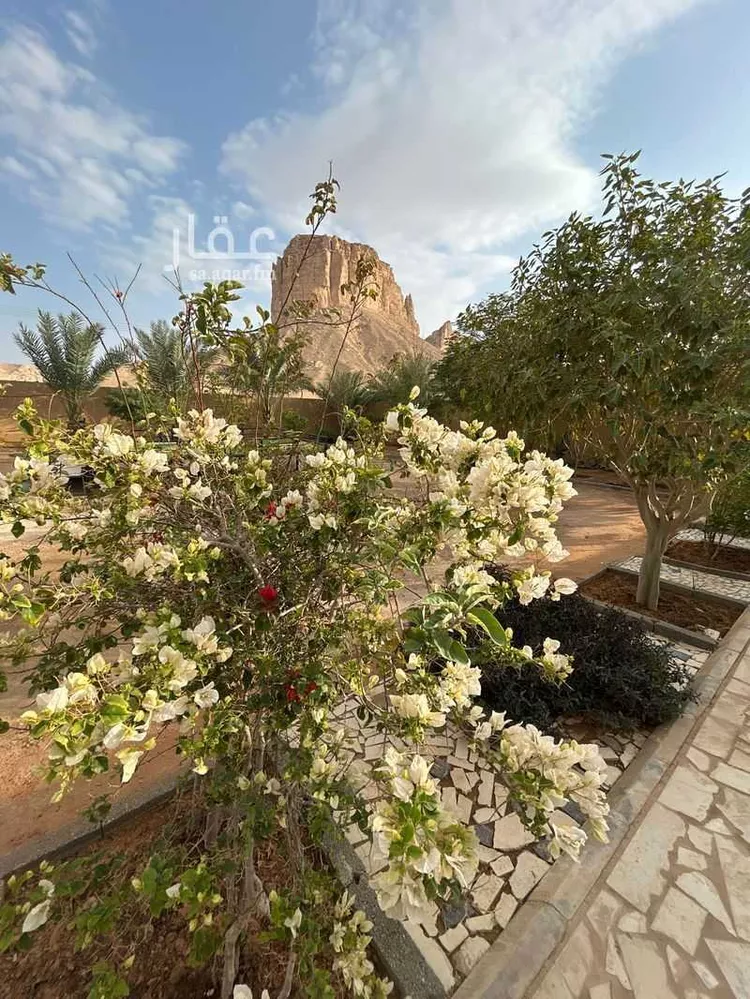 أرض للإيجار في شارع هجرة الاوسط 817, حي تجمع سكاني الحنية, مدينة تجمع سكاني الحنية, منطقة الرياض صورة 2