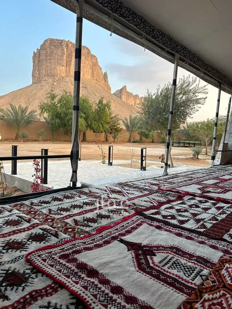 مزرعة للبيع في شارع هجرة الاوسط 817, حي تجمع سكاني الحنية, مدينة تجمع سكاني الحنية, منطقة الرياض صورة 3