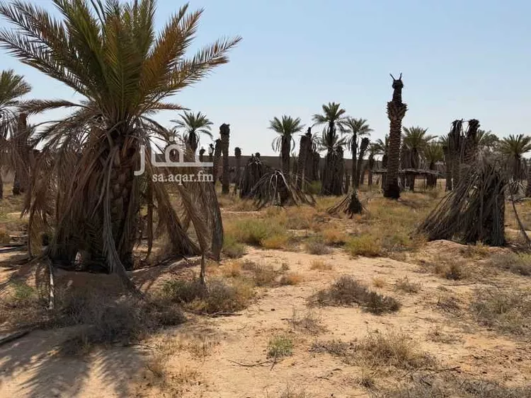 Farm for rent in Unayzah Al Khuzamy صورة 3