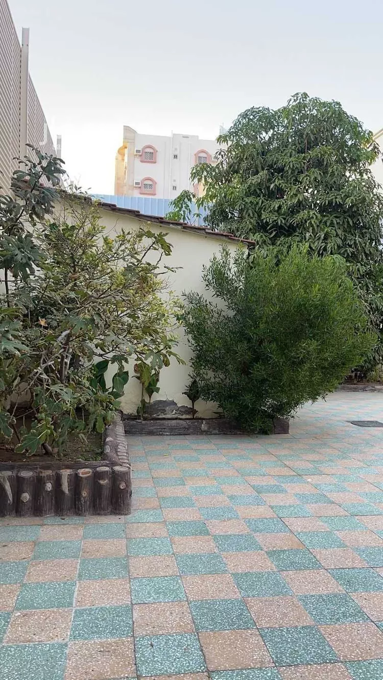 عمارة للبيع في شارع ابن محمود العماد ، حي الحلقة الغربية ، الطائف ، الطائف