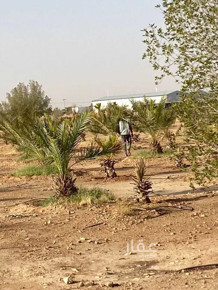 مزرعة للبيع في شارع ملهم 117 ، دقلة ، حريملاء صورة 5